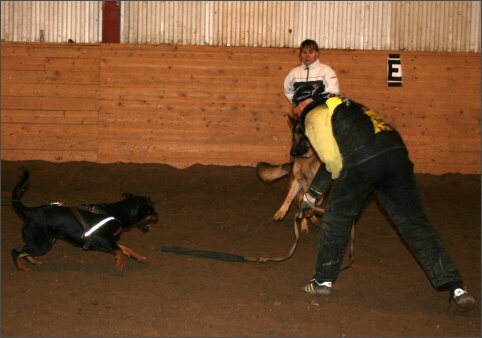 Training in Estonia 11/2007